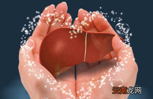 脂肪肝的症状及表现 脂肪肝有哪些症状