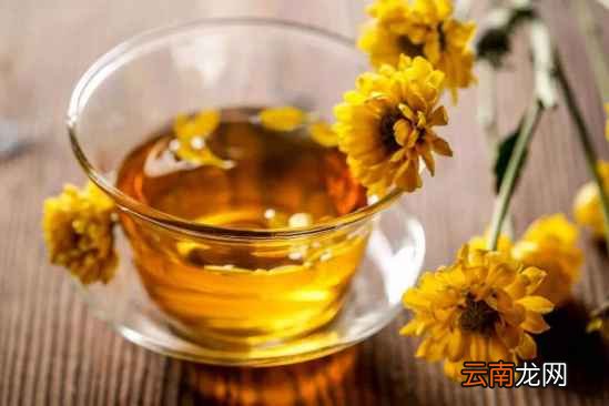 菊花和什么搭配最好 这几种人不宜喝菊花茶