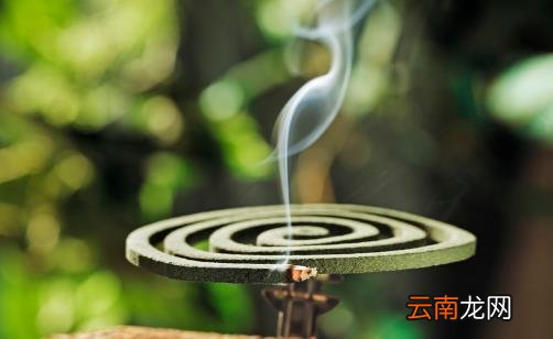 夏天孕妇和儿童防蚊很重要 叮后处理要做好