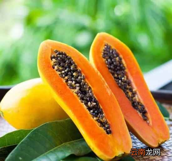 丰胸必吃的七种食物 让你吃出丰满的上围