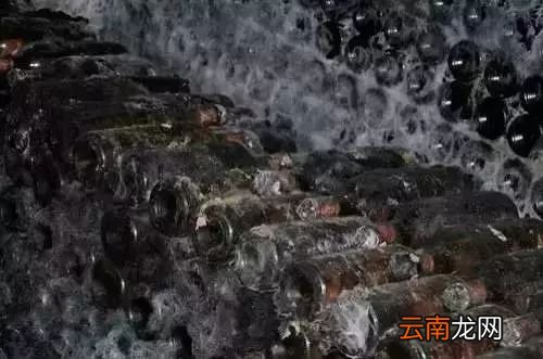 酒塞发霉酒还能喝吗 酒塞发霉的原因分析