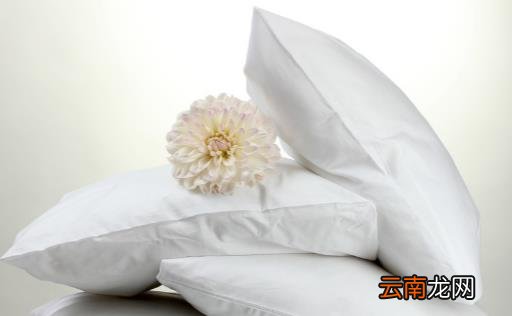 枕头不对睡眠成颈椎病帮凶 选购合适的枕头学问多