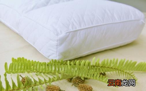 枕头不对睡眠成颈椎病帮凶 选购合适的枕头学问多
