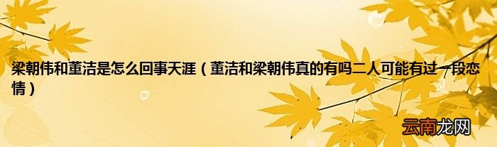 董洁和梁朝伟真的有吗二人可能有过一段恋情 梁朝伟和董洁是怎么回事天涯
