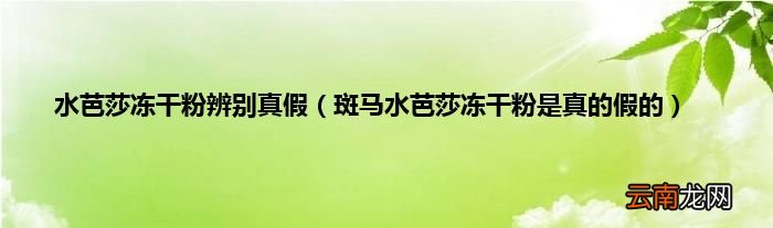 斑马水芭莎冻干粉是真的假的 水芭莎冻干粉辨别真假