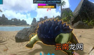 方舟生存进化手机版攻略 方舟新手教程