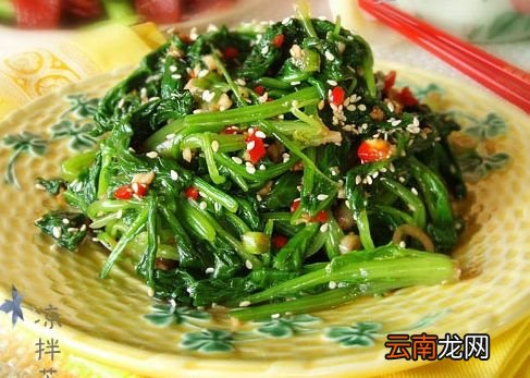 夏季凉拌菜菜谱大全 多道受欢迎的凉菜制作