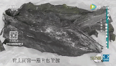 黑发的小妙方 多吃这些食物黑发好