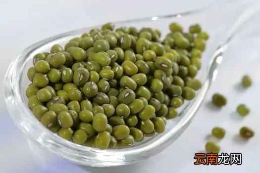 补脾吃什么食物最好 夏天就吃这几种吧