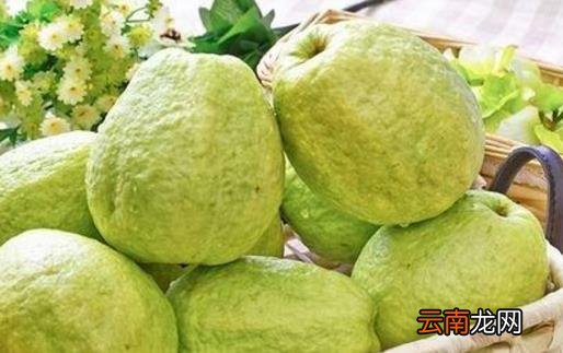 简单便宜又有效的美白方法 食疗美白推荐
