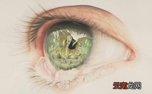 眼部护肤的误区你是否都知道 眼部保养方法大盘点