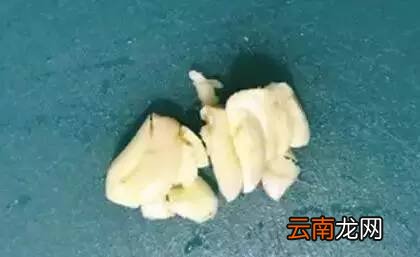 大蒜水做法及功效 大蒜水治咳嗽有奇效