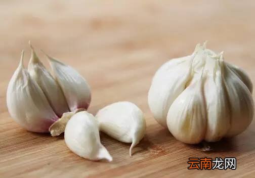 大蒜水做法及功效 大蒜水治咳嗽有奇效