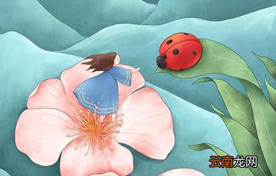 小满节气的含义是什么 只是小满还未大满