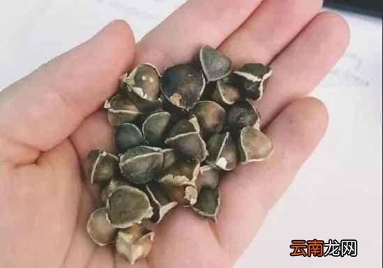降血压的好方法 高血压的罪魁祸首不是盐
