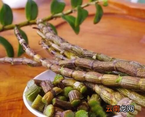 铁皮石斛加西洋参的功效 吃它血糖再高也能降