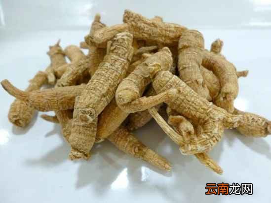 铁皮石斛加西洋参的功效 吃它血糖再高也能降