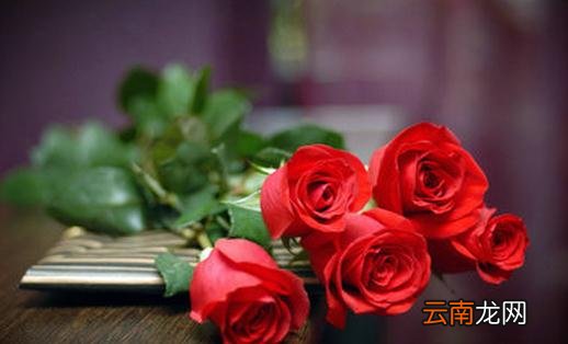 养花的土壤应该用什么？