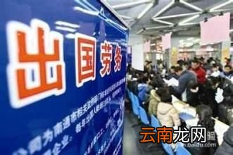 掉坑了！花费七万八出国打工 不料只在法国“旅游”十天
