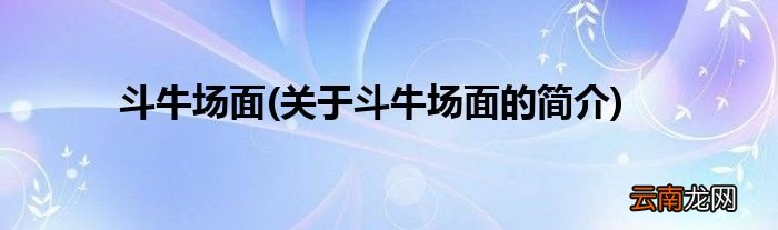 关于斗牛场面的简介 斗牛场面