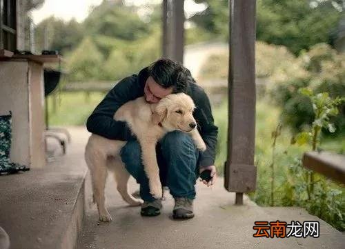 狗狗被从小抱到大，狗狗：再大也是主人的小宝宝!