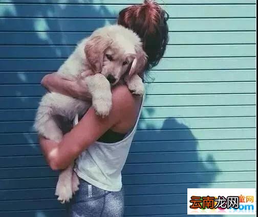 狗狗被从小抱到大，狗狗：再大也是主人的小宝宝!