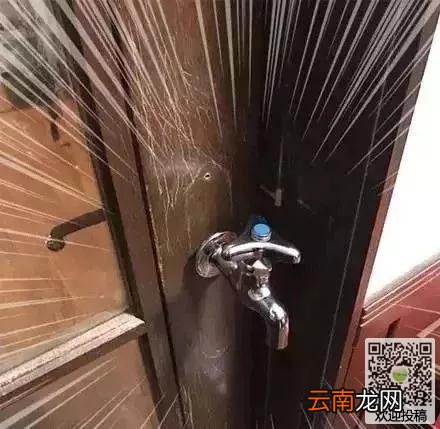 当猫咪学会开门后，铲屎官被逼疯了，猫咪：世上没有锁得住我的笼子
