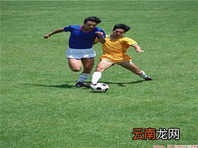足球比赛任意球规则