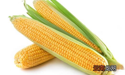 五种食物让你拥有人间胸器