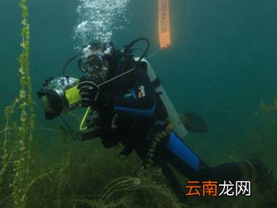 如何选购潜水服