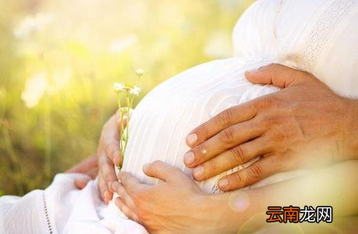 孕妇吃了甲鱼会怎样