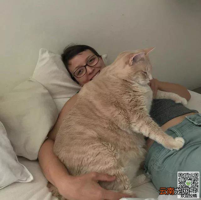 夫妻打算到收容所领养一只猫咪，却看到了一只庞然大物