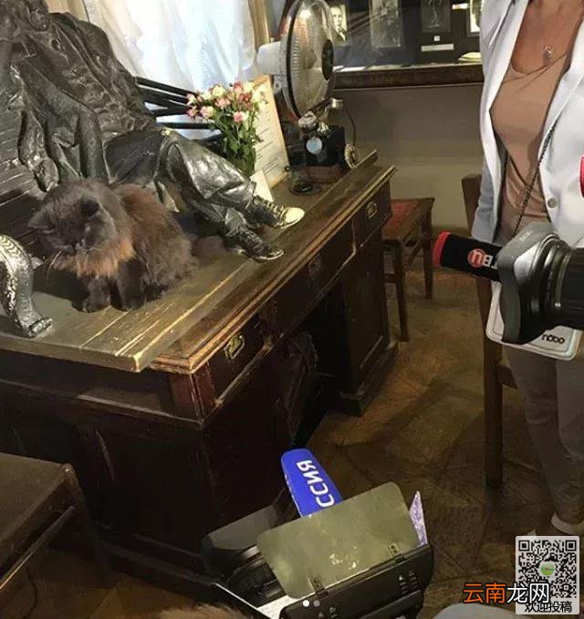莫斯科博物馆“馆猫”遭人绑架，五个小时候才逃出”魔爪“