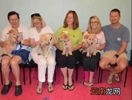 夫妻收留了一只怀孕的金毛串串，当它生崽的那一刻，夫妻：你生的是什么玩意?