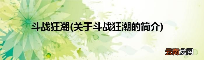 关于斗战狂潮的简介 斗战狂潮