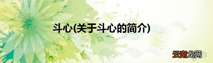 关于斗心的简介 斗心