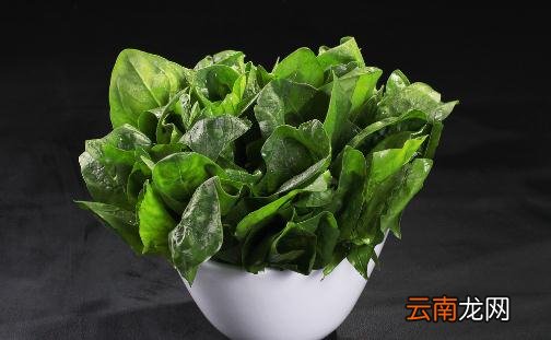 朋友搬家乔迁送什么盆栽植物？