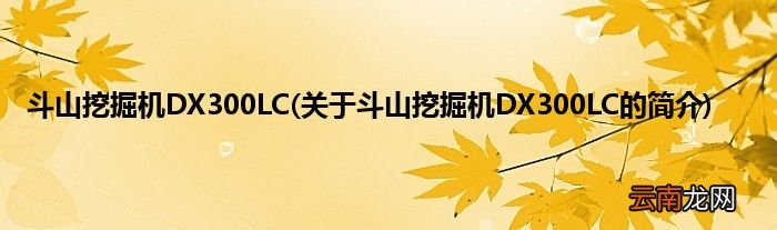 关于斗山挖掘机DX300LC的简介 斗山挖掘机DX300LC