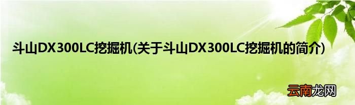 关于斗山DX300LC挖掘机的简介 斗山DX300LC挖掘机