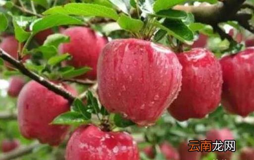 最佳血管养护时间表 养好血管健康更长寿