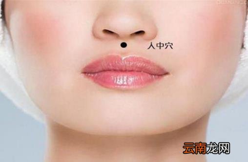 人脸的特征与内脏对应 长寿之人脸上有的几大特征