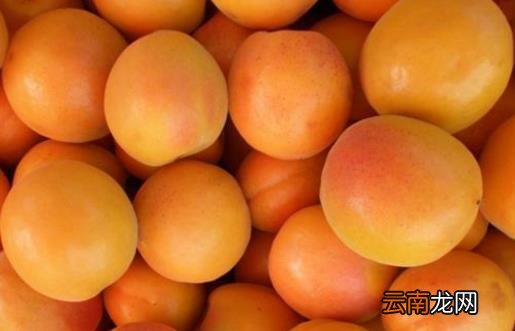 可怕的癌症是否会传染 防癌蔬菜水果要多吃