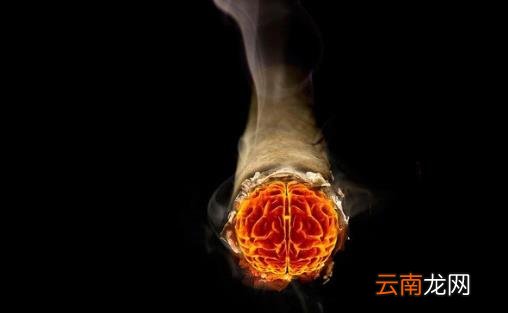 烟草是人类健康的最大威胁 两种中医戒烟好方法