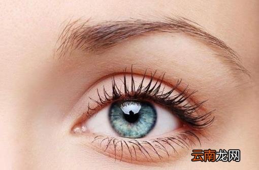 眼部疲劳干涩 电脑族眼部保养缓解干涩有妙方