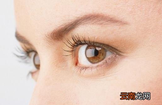 眼部疲劳干涩 电脑族眼部保养缓解干涩有妙方