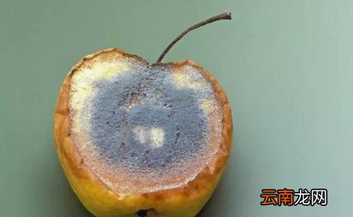染发危害身体健康 日常生活中易致癌的行为大盘点