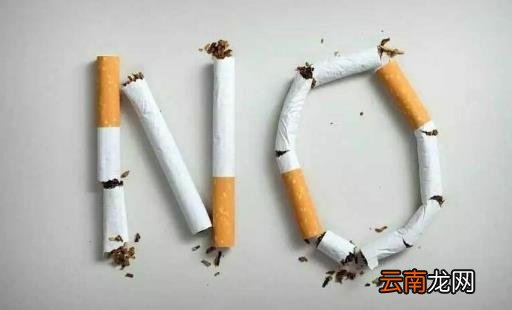 戒烟后肺是否能恢复正常 清肺食物帮你恢复受伤的肺