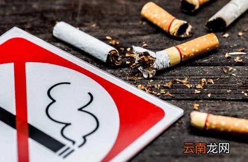 戒烟后肺是否能恢复正常 清肺食物帮你恢复受伤的肺