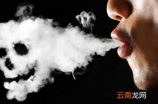 戒烟后肺是否能恢复正常 清肺食物帮你恢复受伤的肺