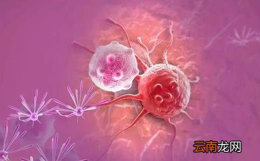 癌症来临之前身体发出的求救信号 预防癌症刻不容缓